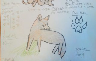 Student Journal, coyote